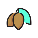 fruta icon