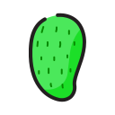 fruta icon