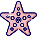 estrella de mar icon