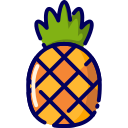 piña icon