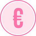 euro icon