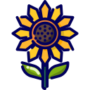 girasol icon