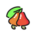 fruta icon