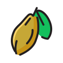 fruta icon