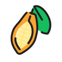 fruta icon