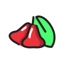 fruta icon