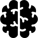 Brain 