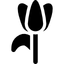 blume icon
