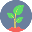 planta icon