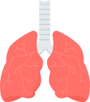 pulmones icon