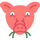 cerdo