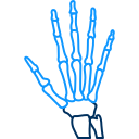Hand 