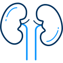 Medical 