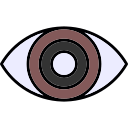 ojo icon