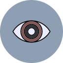 ojo icon