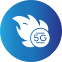 5g