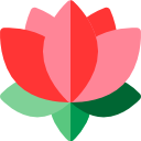 flor de lotus 