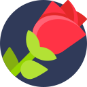 rosa icon