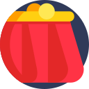 bolso icon