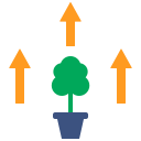 repoblación forestal