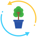 repoblación forestal 