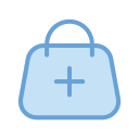 bolsa icon