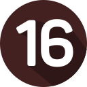 16 icon