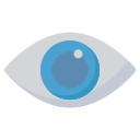 ojo icon