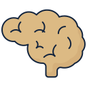 cerebro humano icon