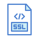 ssl icon