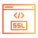 ssl icon