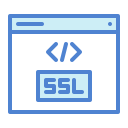 ssl icon