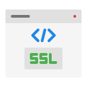 ssl icon