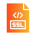 ssl icon