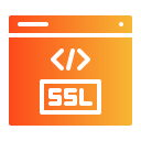 ssl icon