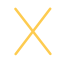 x icon