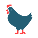 pollo