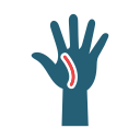 levantar la mano icon