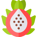 pitaya icon