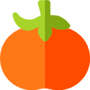 tomate icon