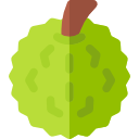 durian icon