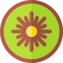 kiwi icon