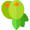 aceituna icon