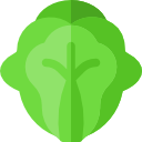 repollo icon