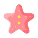 estrella de mar 