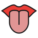 idioma icon