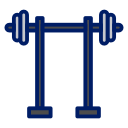 gimnasia icon