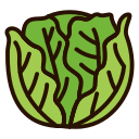 verduras icon