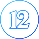 12 icon