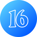 16 icon